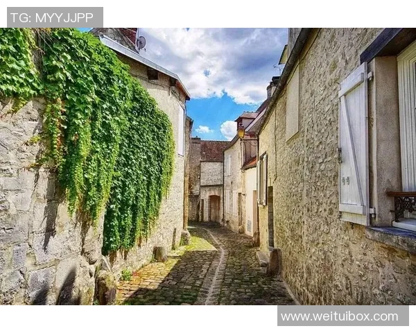 布莱克尼的魅力探秘：走进这座小镇的历史与文化之旅