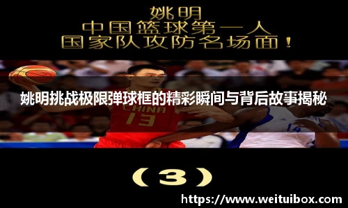 wm完美体育